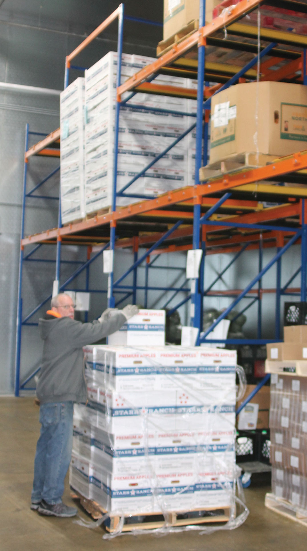 Foodbank volunteer